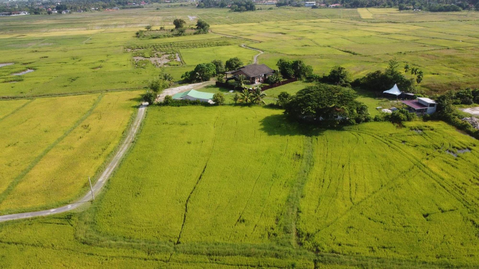 Villa Tempoyak Homestay Pantai Cenang  Eksteriør bilde