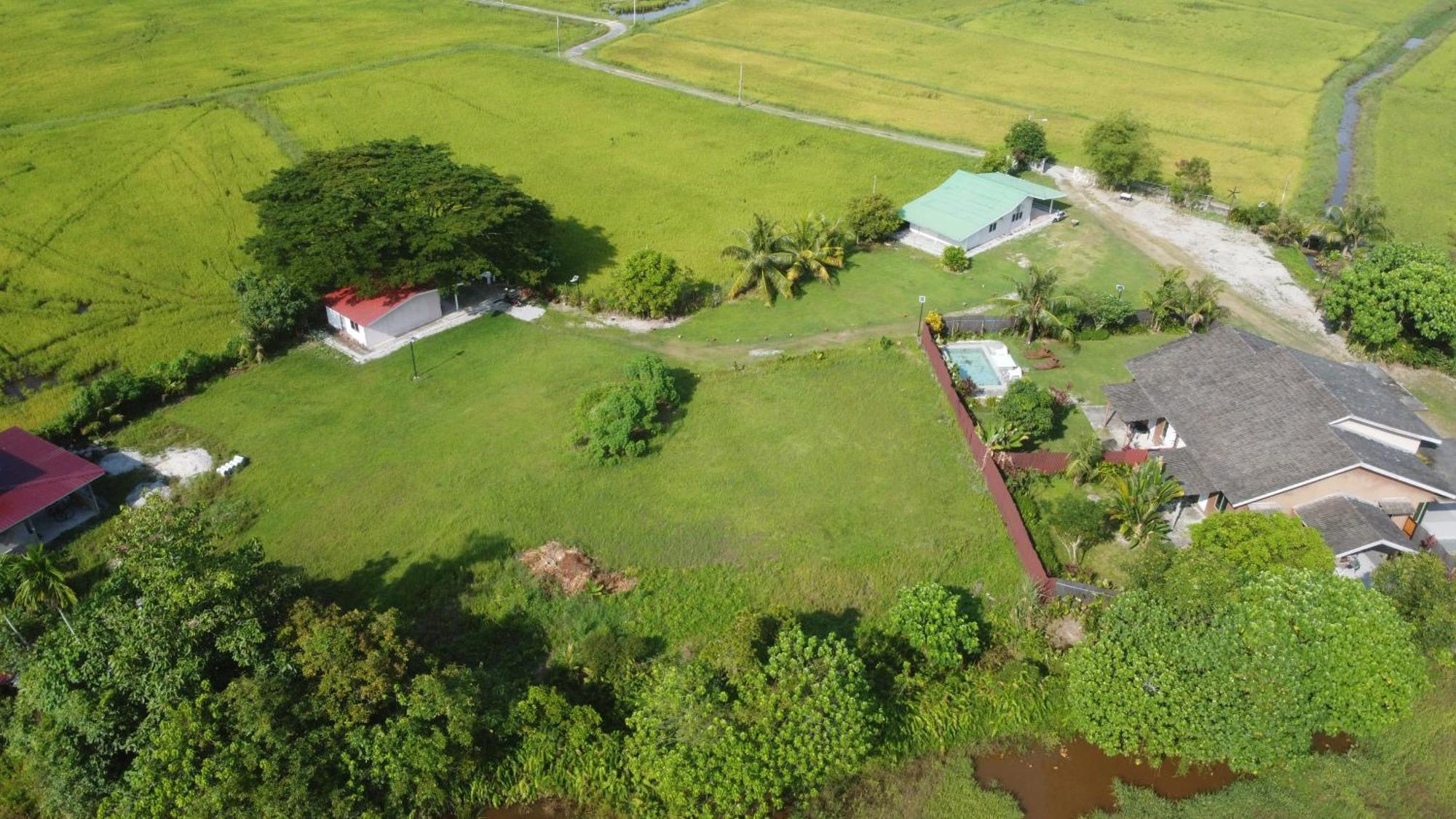 Villa Tempoyak Homestay Pantai Cenang  Eksteriør bilde