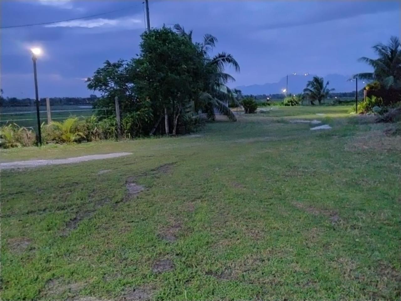 Villa Tempoyak Homestay Pantai Cenang  Eksteriør bilde