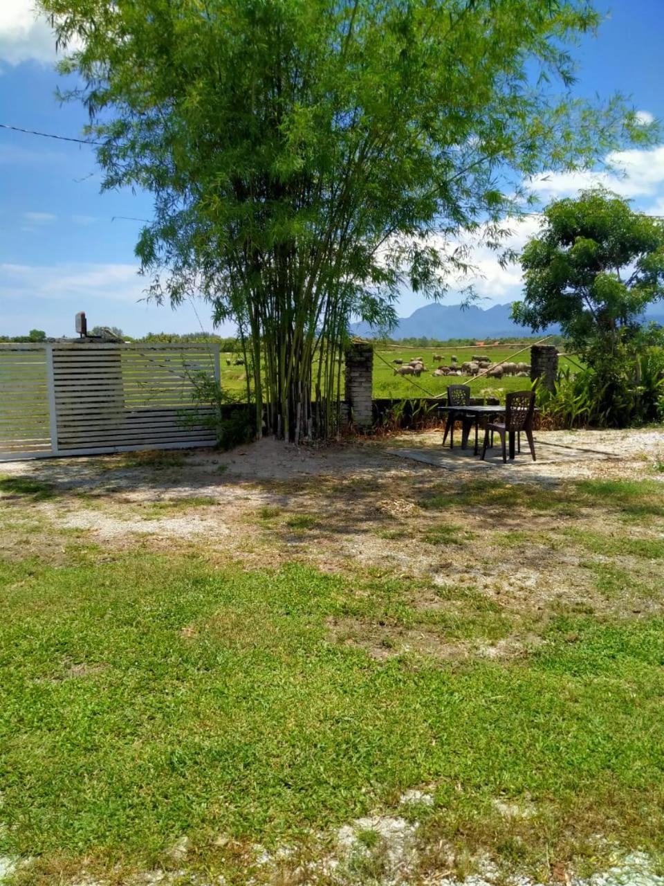 Villa Tempoyak Homestay Pantai Cenang  Eksteriør bilde
