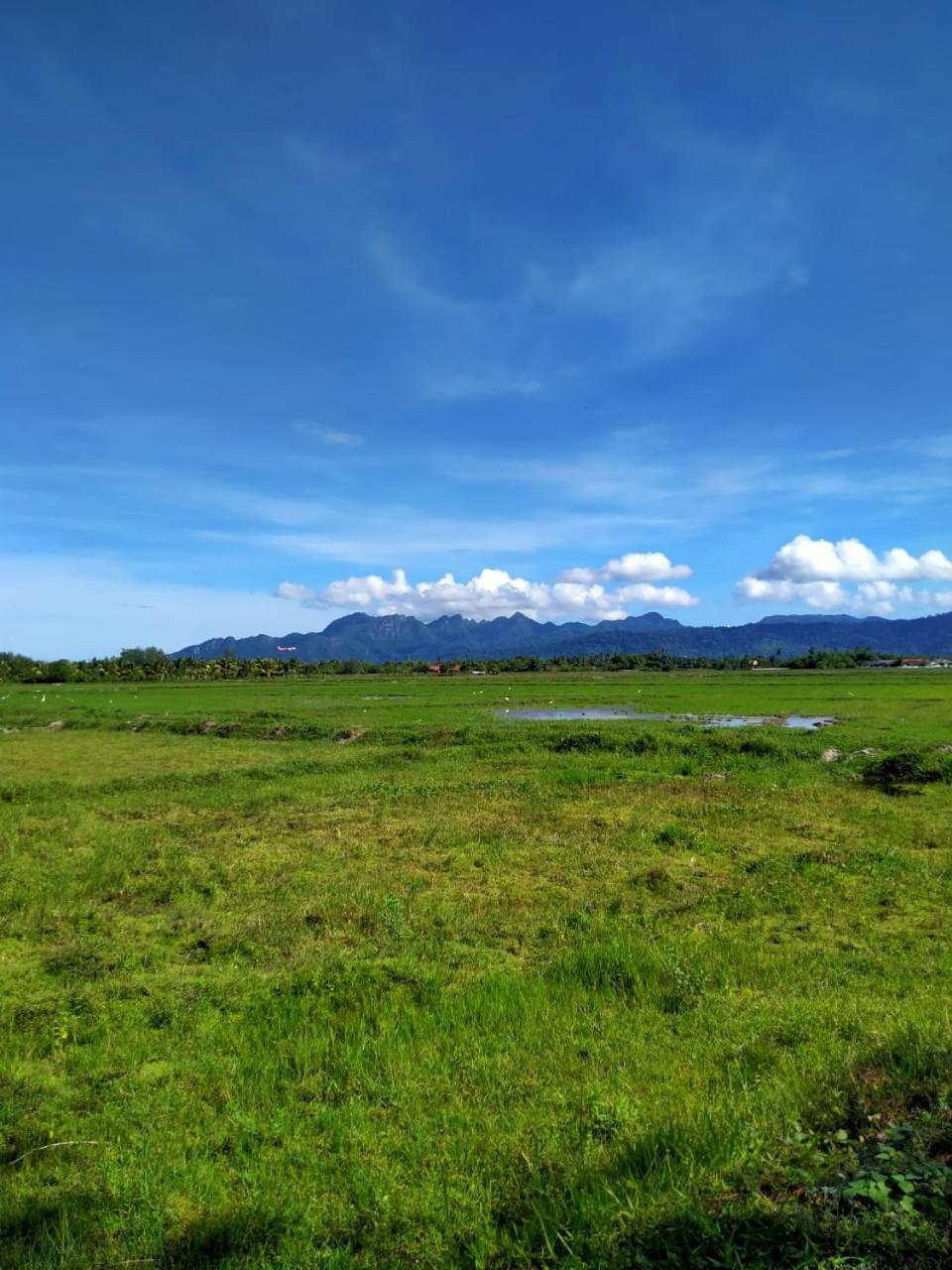 Villa Tempoyak Homestay Pantai Cenang  Eksteriør bilde