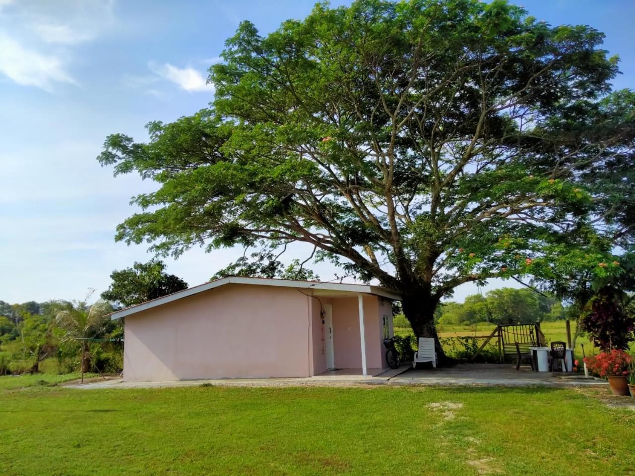 Villa Tempoyak Homestay Pantai Cenang  Eksteriør bilde