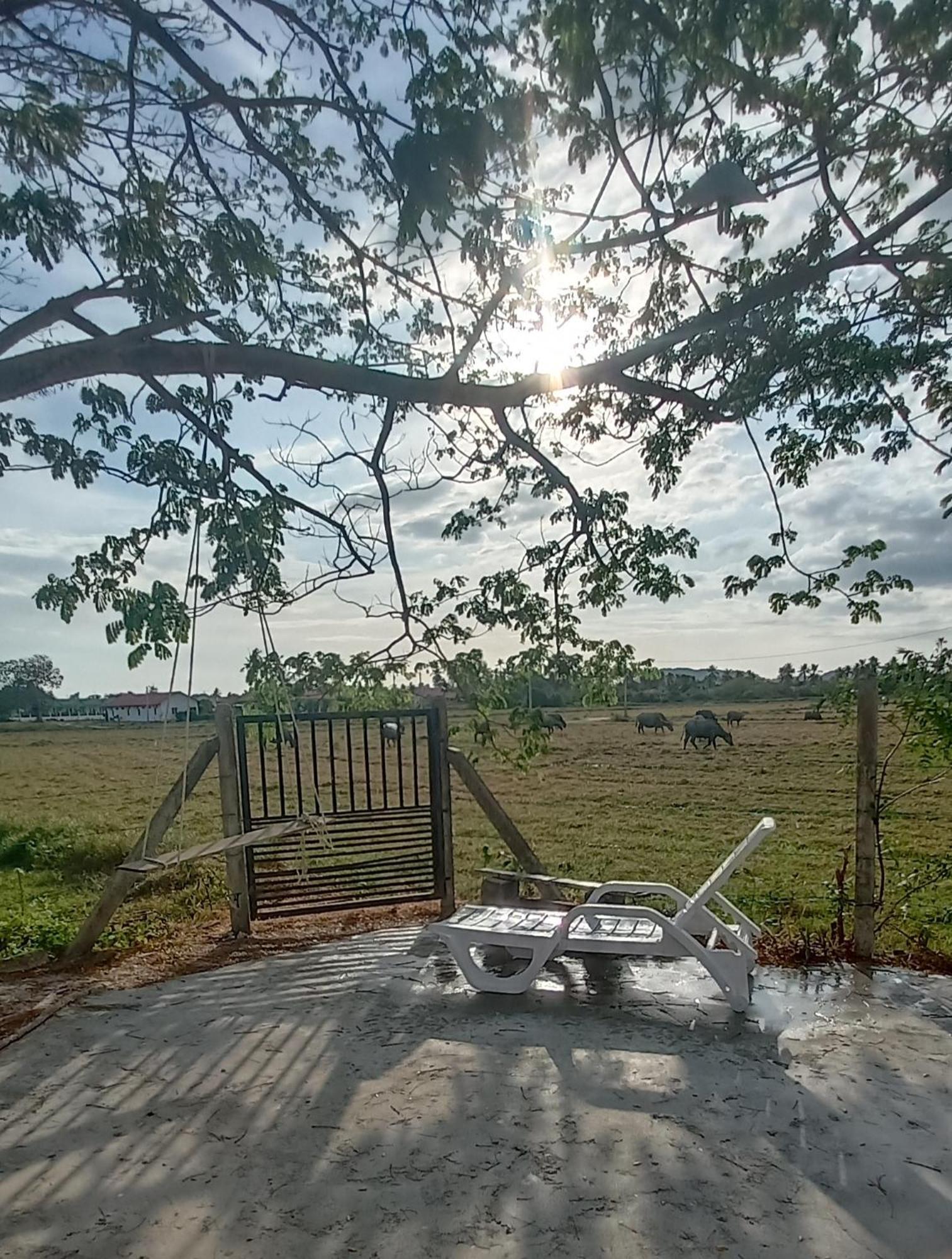 Villa Tempoyak Homestay Pantai Cenang  Rom bilde