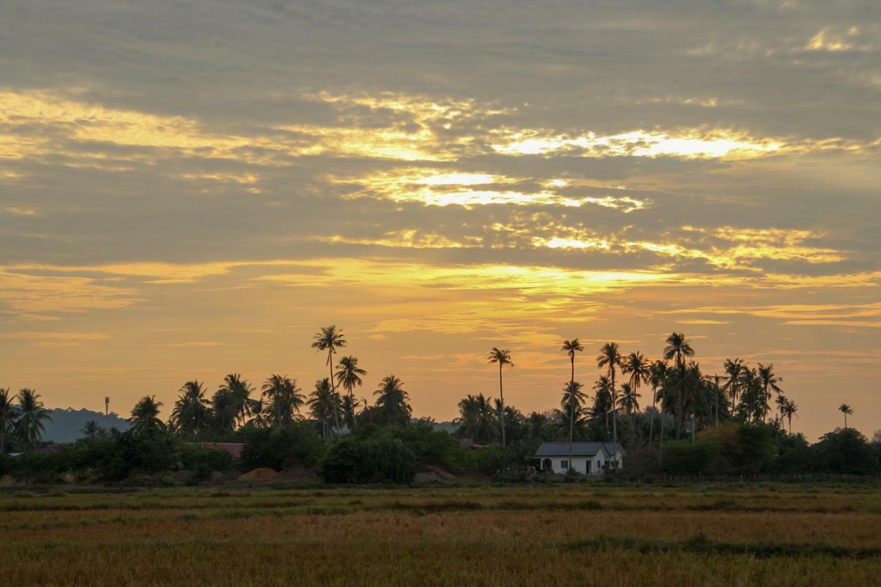 Villa Tempoyak Homestay Pantai Cenang  Eksteriør bilde