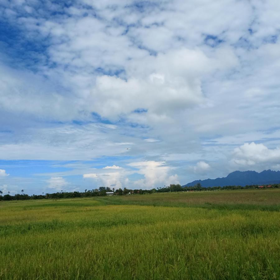 Villa Tempoyak Homestay Pantai Cenang  Eksteriør bilde
