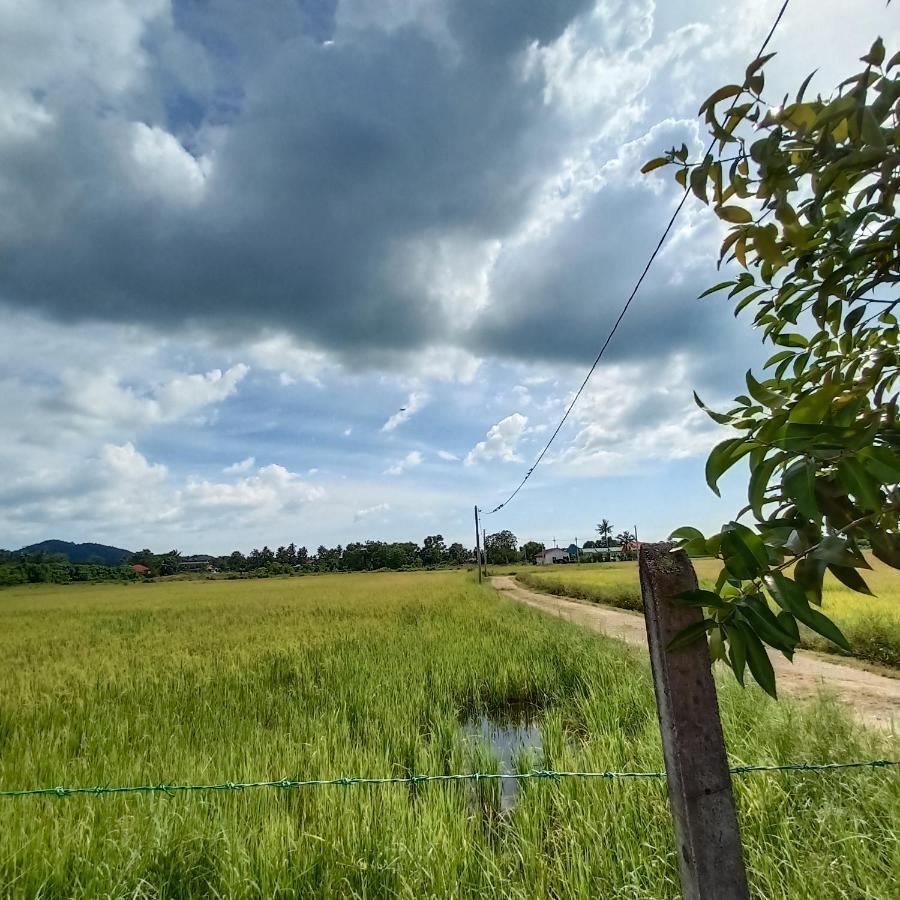 Villa Tempoyak Homestay Pantai Cenang  Eksteriør bilde